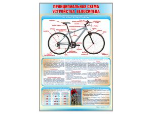 Стенд «Принципиальная схема устройства велосипеда»