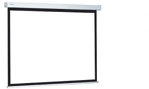 Проекционный экран Projecta ProScreen (10200030)
